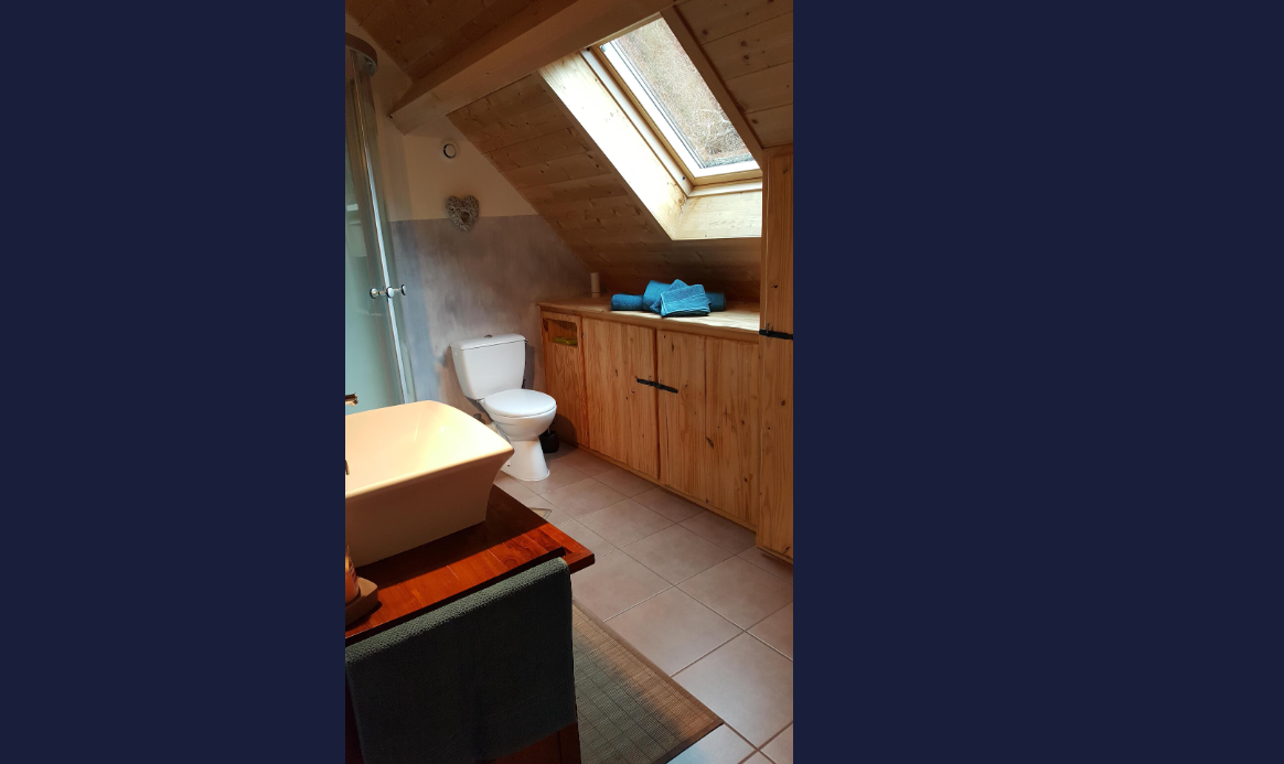 Chalet-Picherande-REF1477415