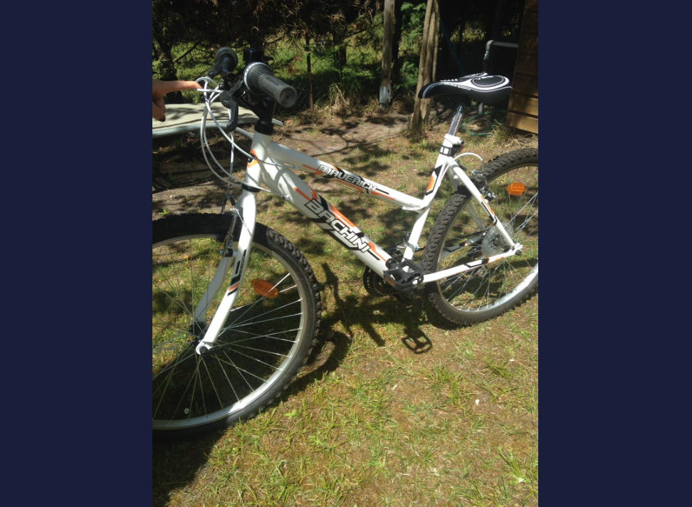 Maison-Biscarrosse-REF7415456