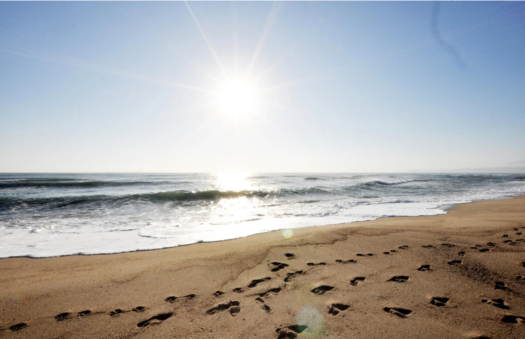 Appartement-Canet-en-Roussillon-REF2876890