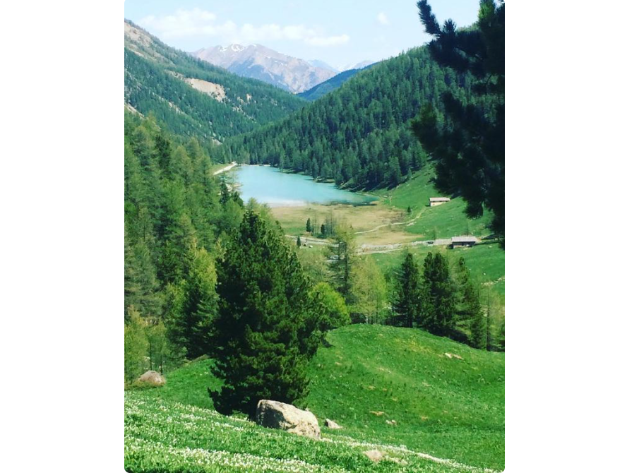 Chalet-Lac-de-lOrceyrette-REF1784563